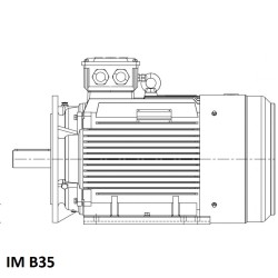 Moteur triphasé 0.75KW 3000tr/min (2 POLES)